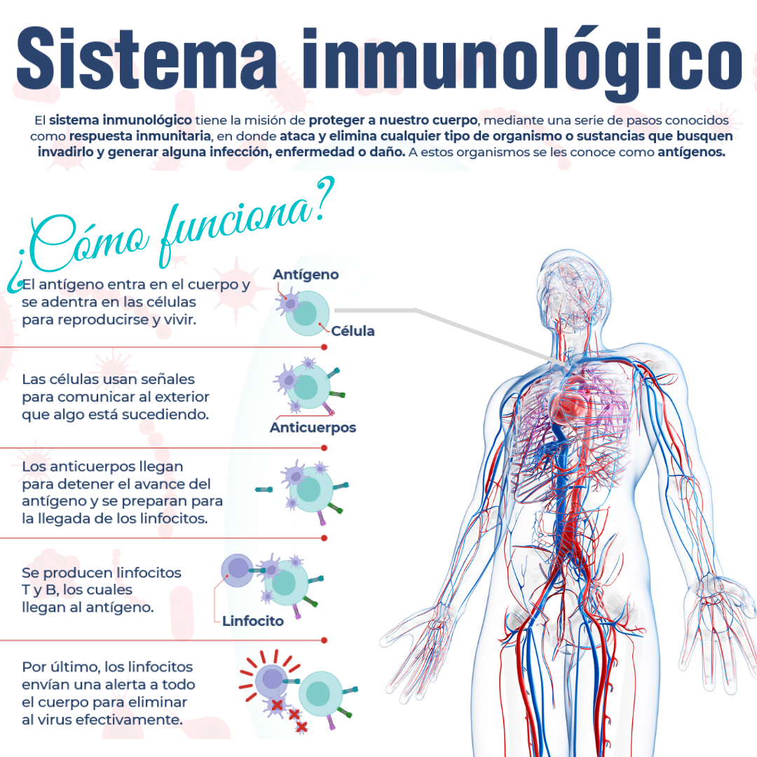 Nutre tu sistema inmune con suplementos Nutrichen Puebla